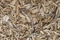 biomass boilers Llanion