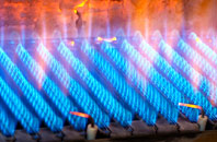 Llanion gas fired boilers